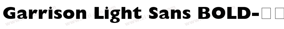 Garrison Light Sans BOLD字体转换